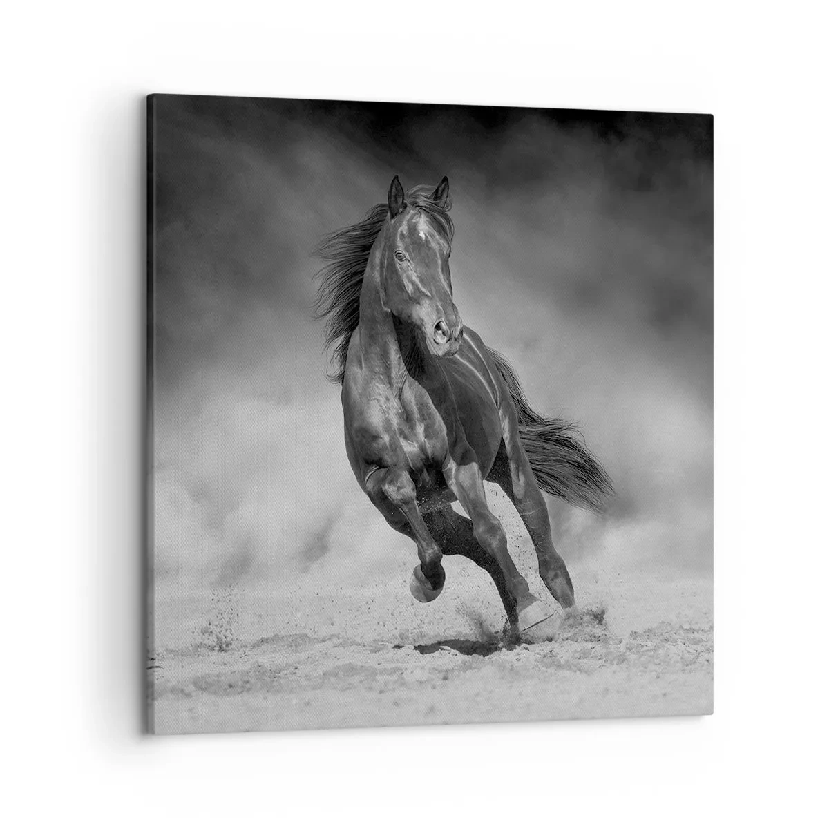 Vászonkép - Az emírhez méltó - 50x50 cm