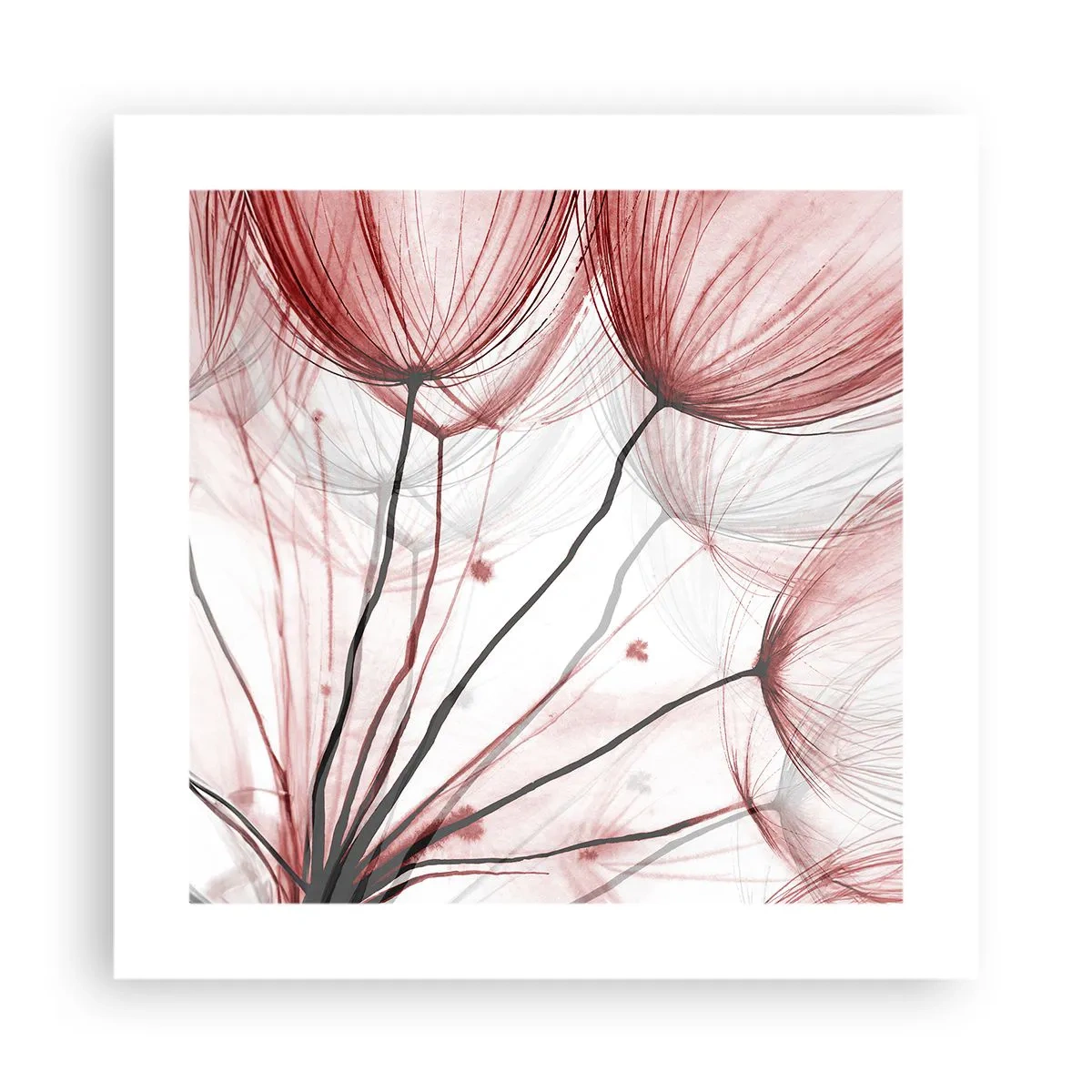 Poszter - Felszállás előtt - 40x40 cm