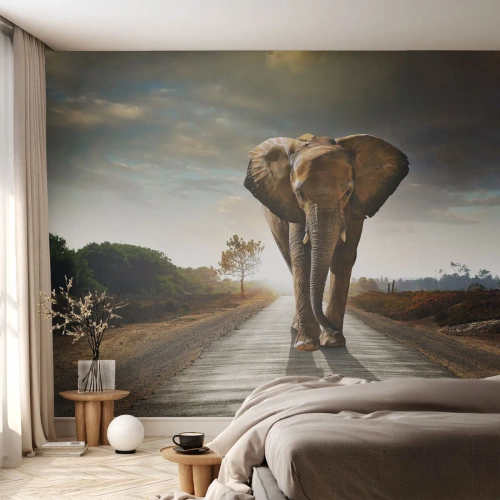 Öntapadós Fotótapéta Deluxe Sticker - És egyáltalán nem porcelánraktárban - Elefánt, Tájkép, Természet - 200x140 cm