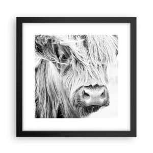 Poszter fehér keretben - Skót vadság - 30x30 cm
