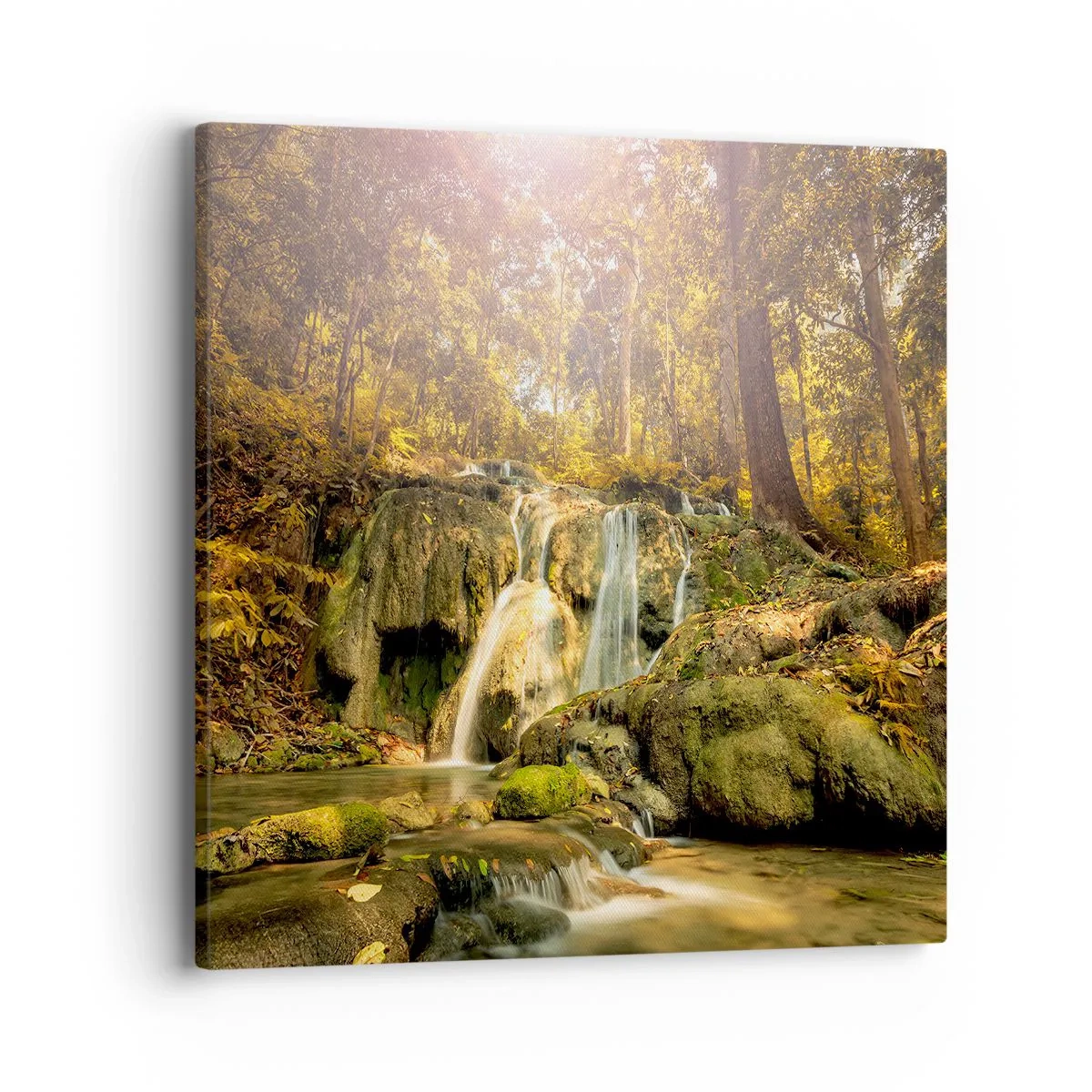 Vászonkép - Erdei vízesés a zöldben - 40x40 cm