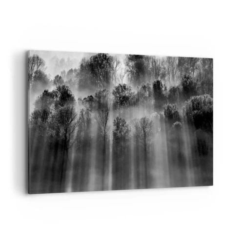 Vászonkép - Fénypatakokban - 120x80 cm