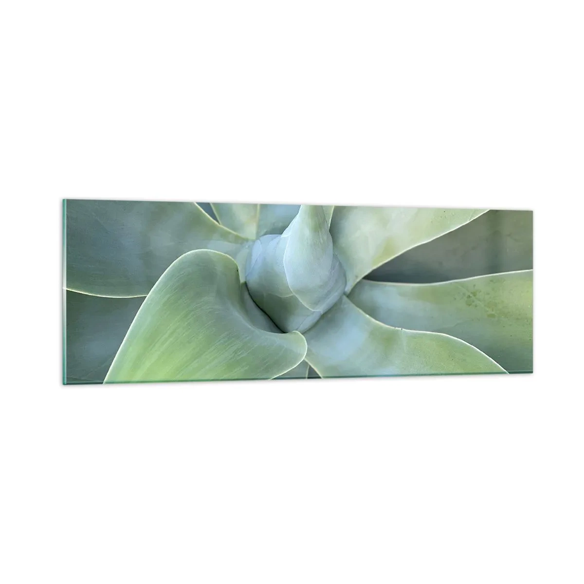 Üveg kép - A zöld születése - 90x30 cm