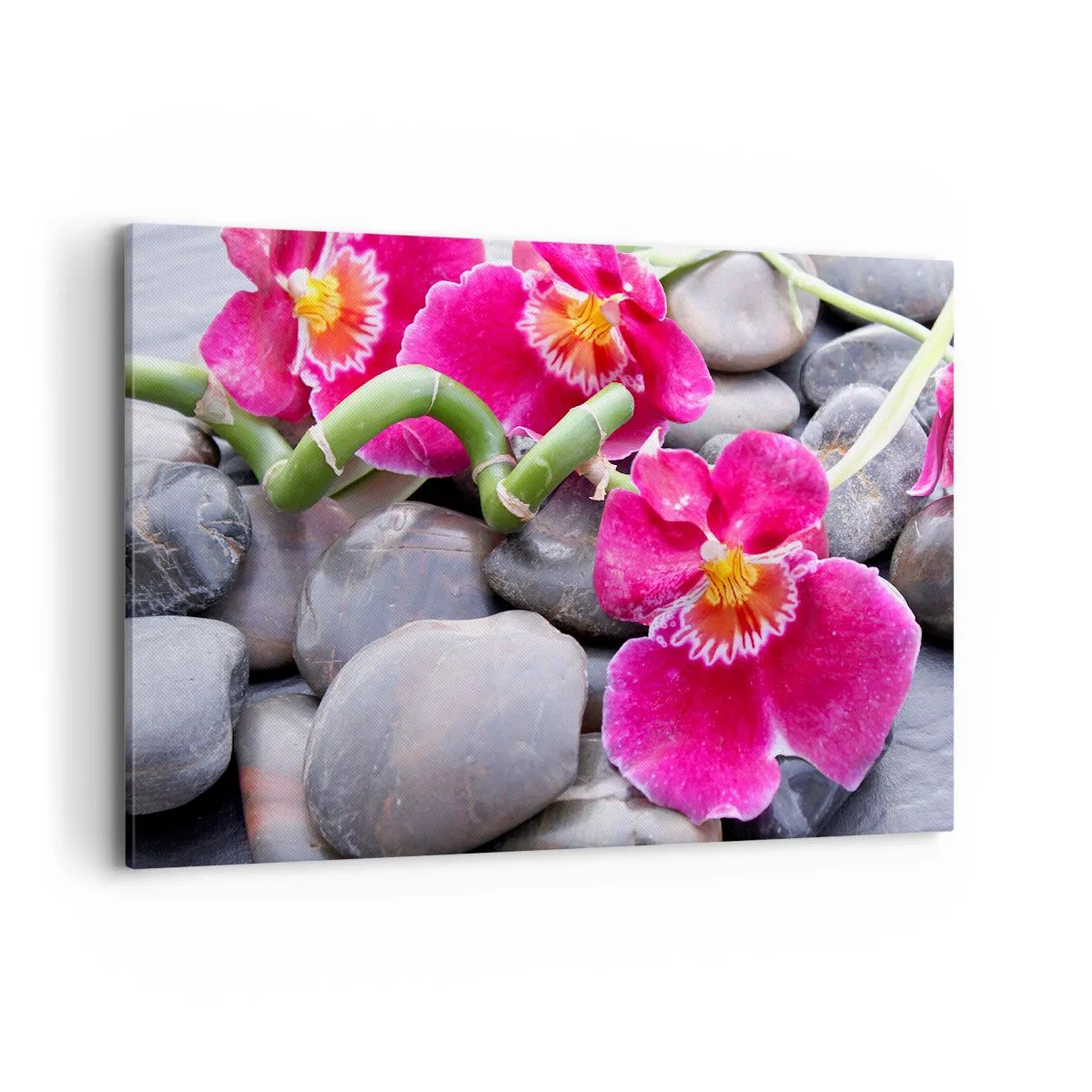 Vászonkép - Hideg és forró - 120x80 cm