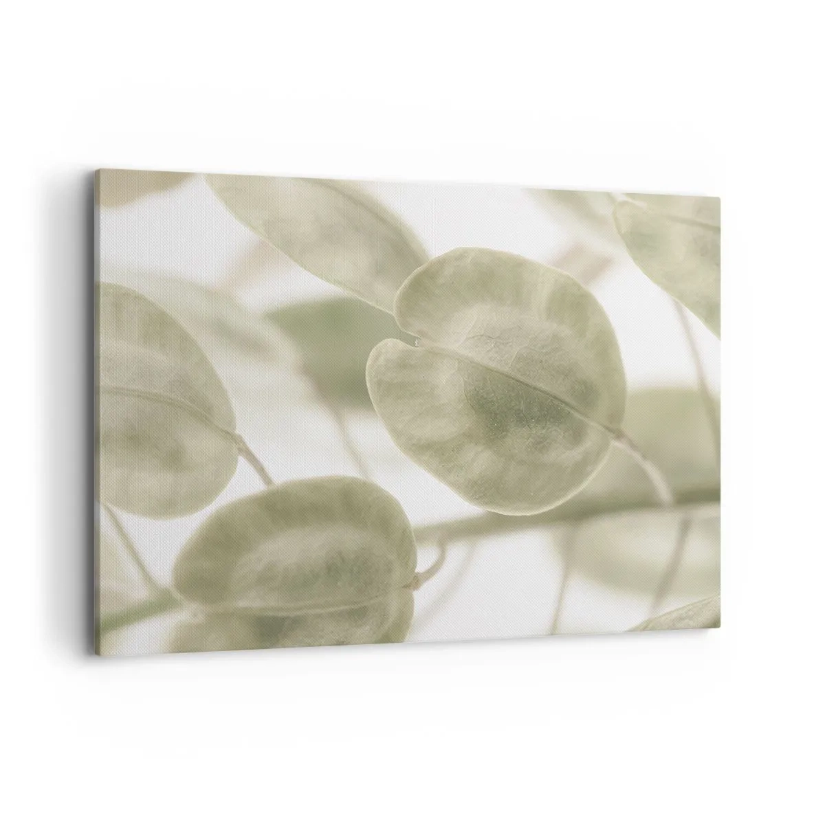 Vászonkép - Kezdetben levelek voltak... - 120x80 cm