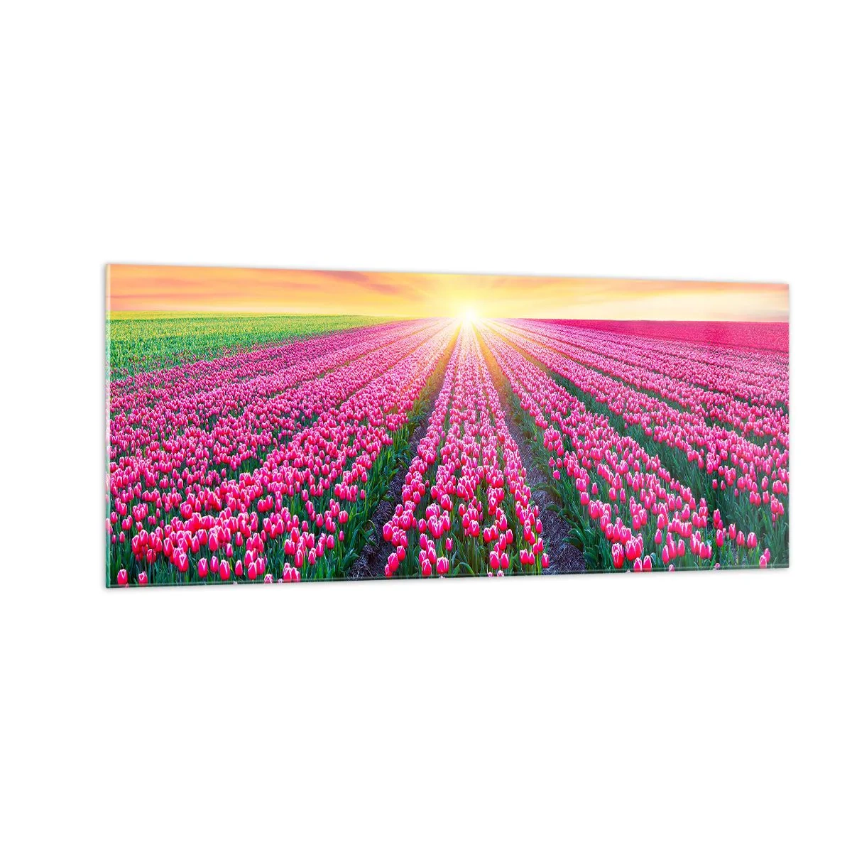 Üveg kép - Gyönyör farm - 100x40 cm