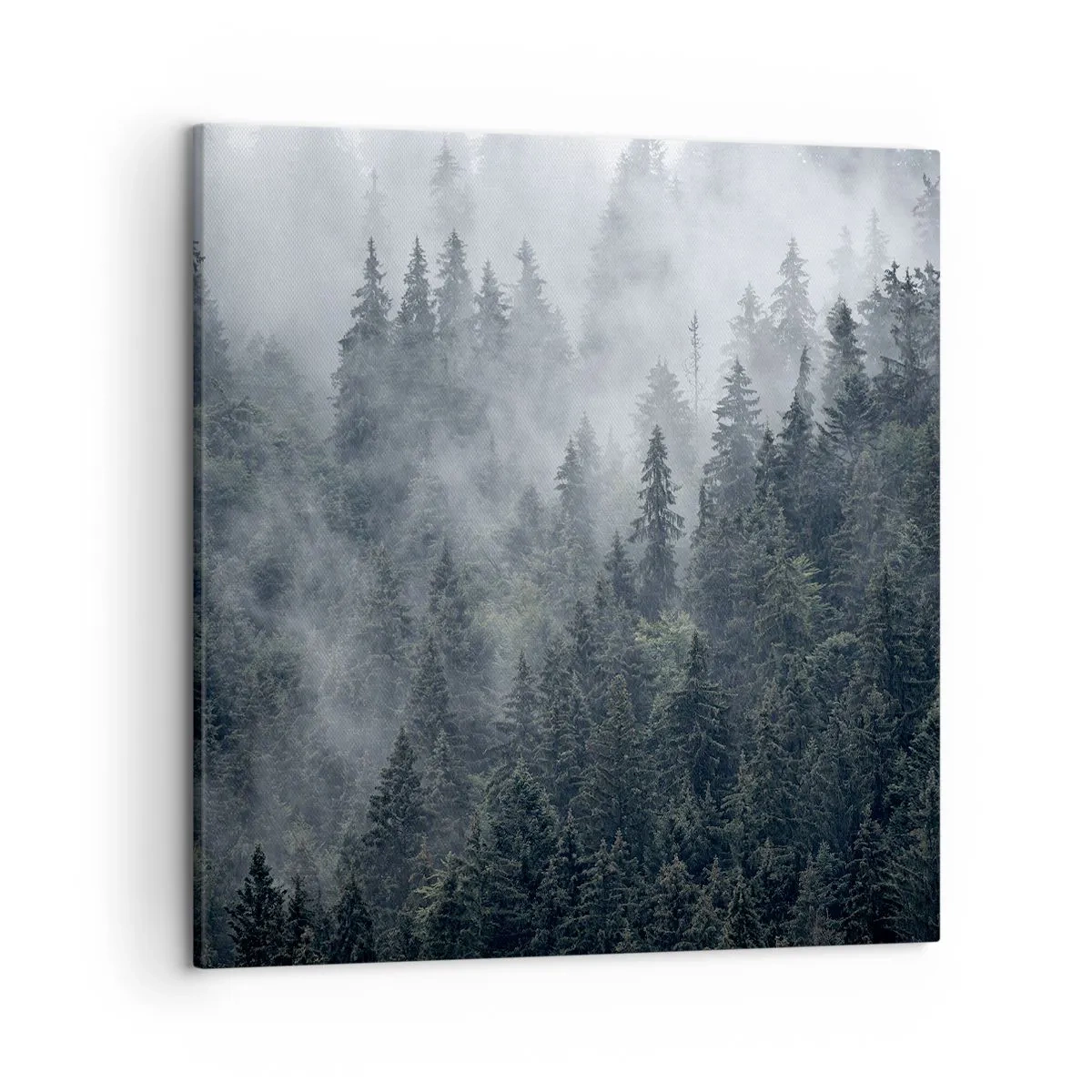 Vászonkép - Erdei hajnal - 50x50 cm