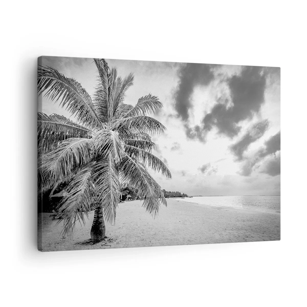 Vászonkép - Fekete-fehér pálmafa egy üres tengerparton, felhőkkel - 70x50cm - Amikor a magányra vágysz... - Modern fali dekoráció nappalihoz és hálószobához ARTTOR