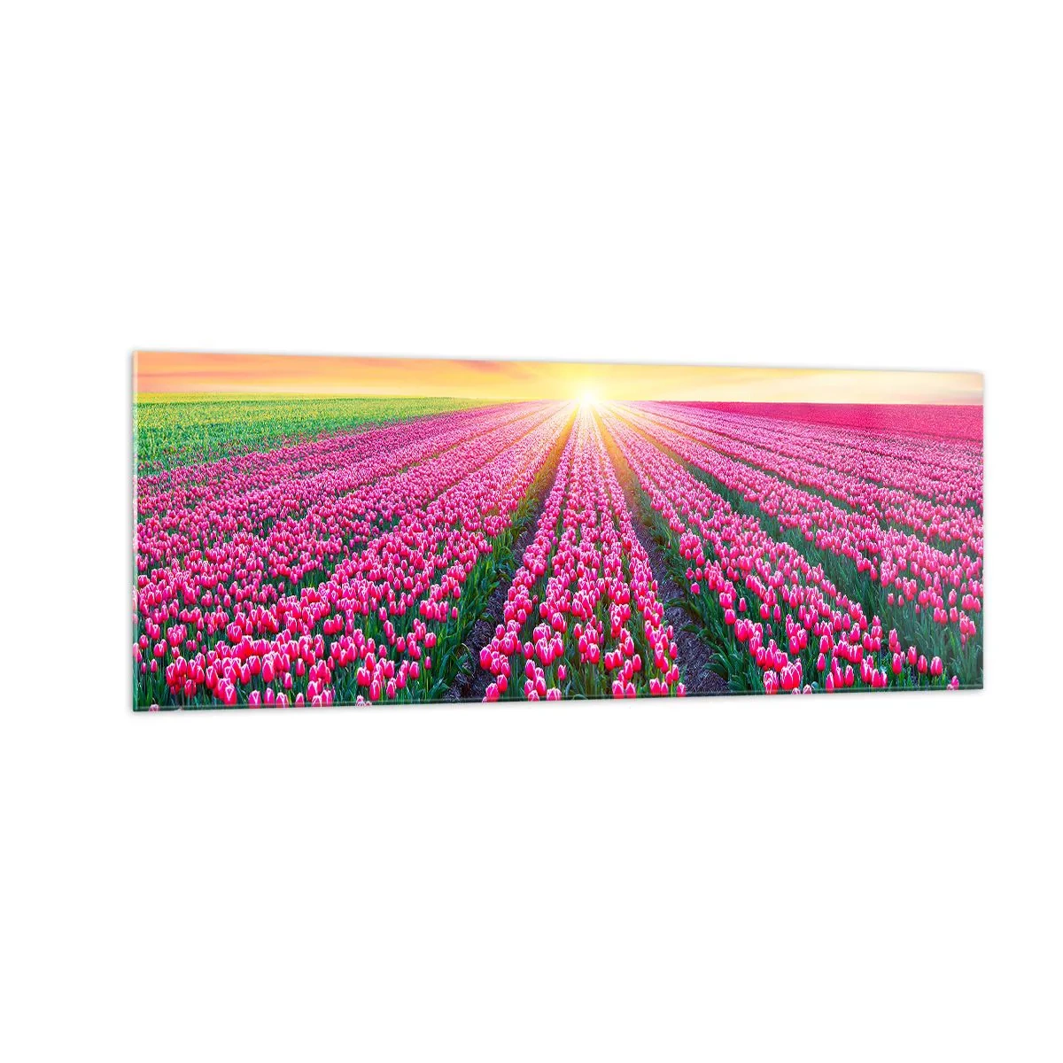 Üveg kép - Gyönyör farm - 140x50 cm