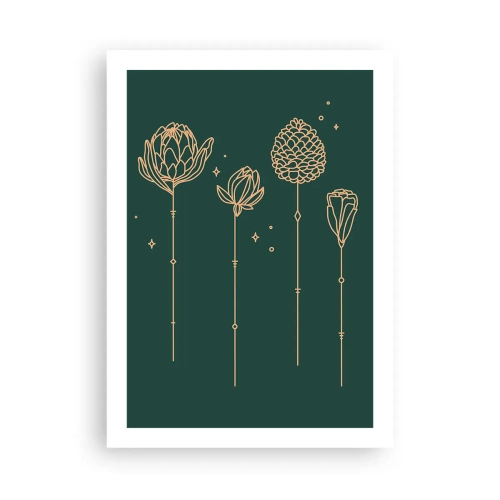 Poszter - A ZIÓŁkowski család - 50x70 cm