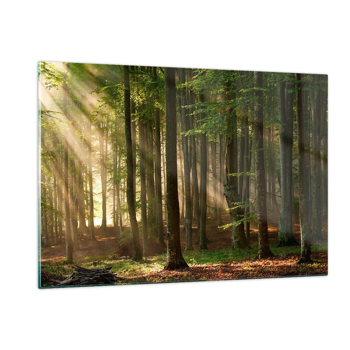 Üveg kép - Ragyogó tavaszi reggelen - 120x80 cm