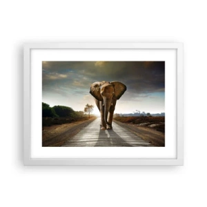 Poszter fekete keretben - És egyáltalán nem porcelánraktárban - 40x30 cm