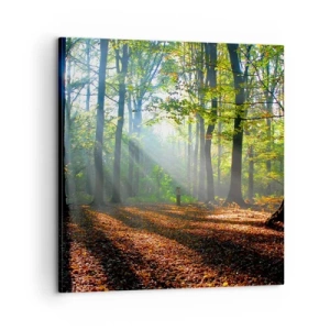 Vászonkép - Ragyogások és árnyékok - 60x60 cm