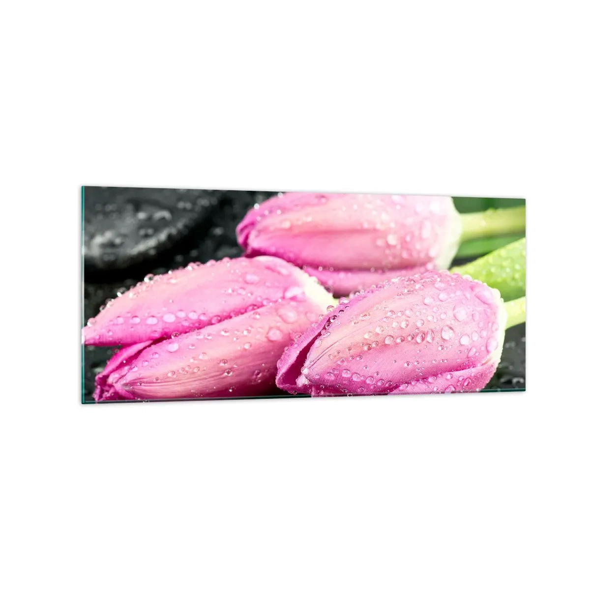 Üveg kép - Lila hármas a fekete kövön - 120x50 cm