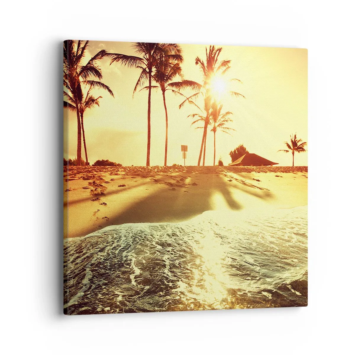 Vászonkép - Kaliforniai délután - 40x40 cm