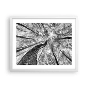 Poszter fekete keretben - Verseny a fény felé - 50x40 cm