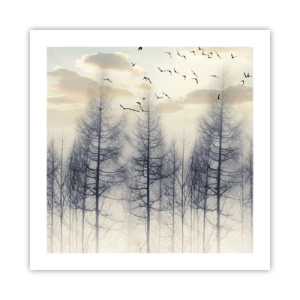 Poszter - Erdei szellemek - 50x50 cm