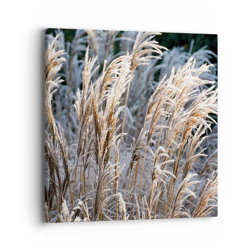 Vászonkép - Zúzmarába öltözött - 40x40 cm