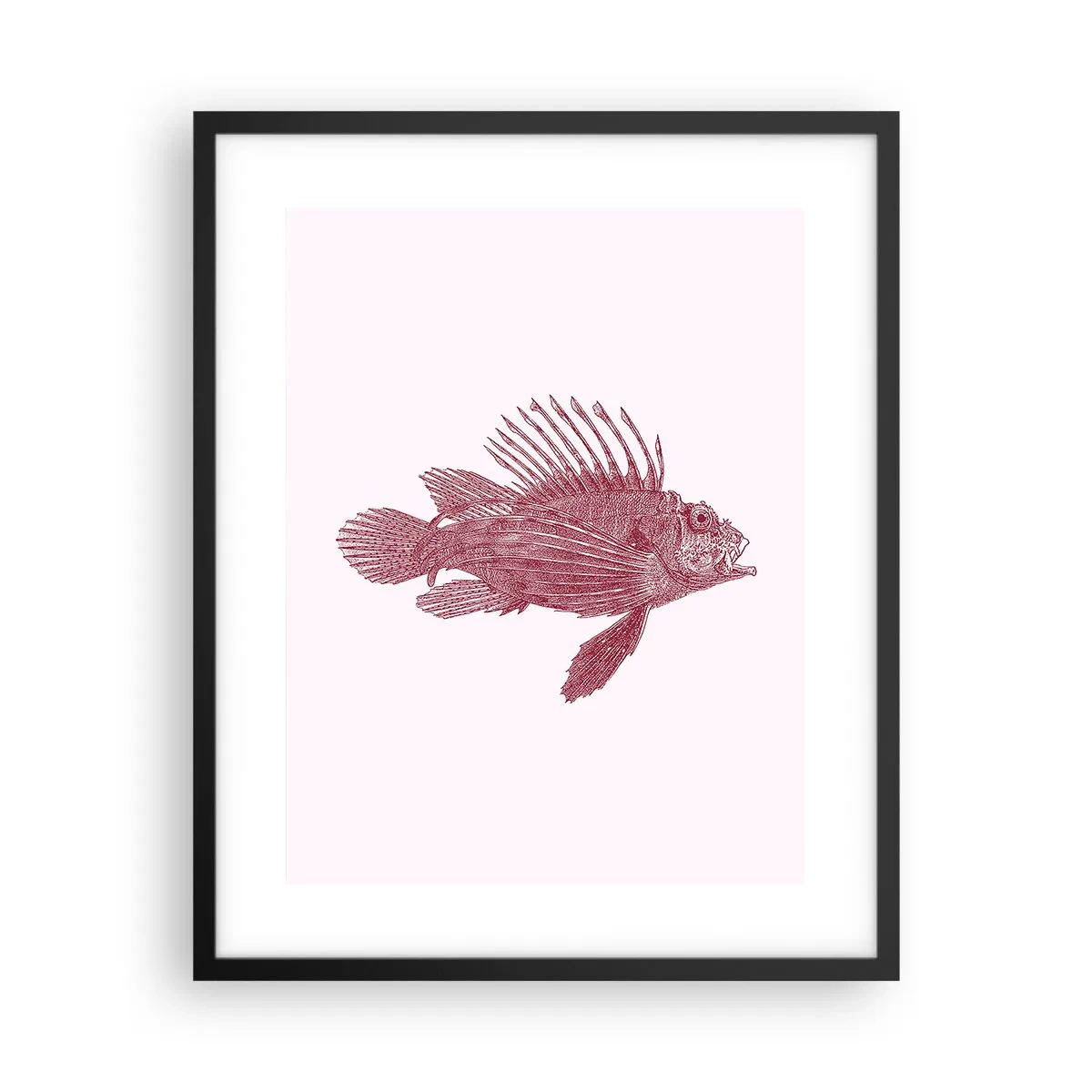 Poszter fehér keretben - Egzotikus vizek lakója - 40x50 cm