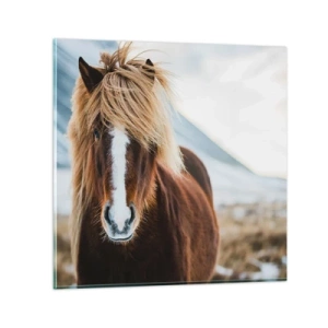 Üveg kép - Érzed a szabadságot? - 70x70 cm