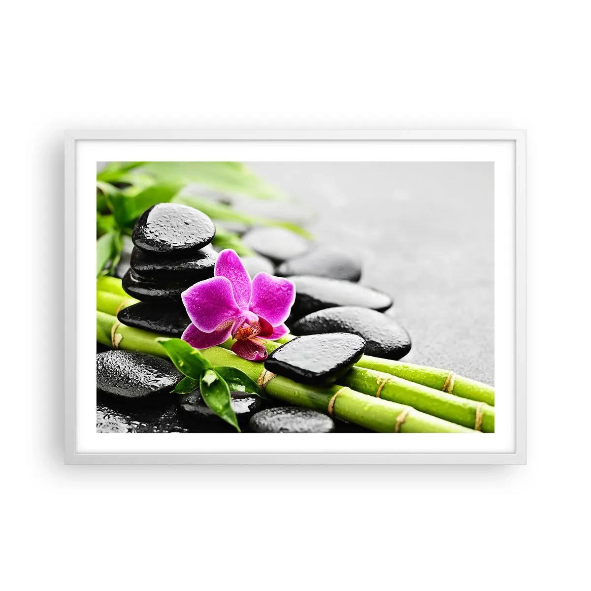 Poszter fekete keretben - Nyugodt egyensúlyban - 70x50 cm