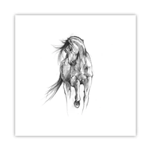 Poszter - Kecses ügetésben - 30x30 cm