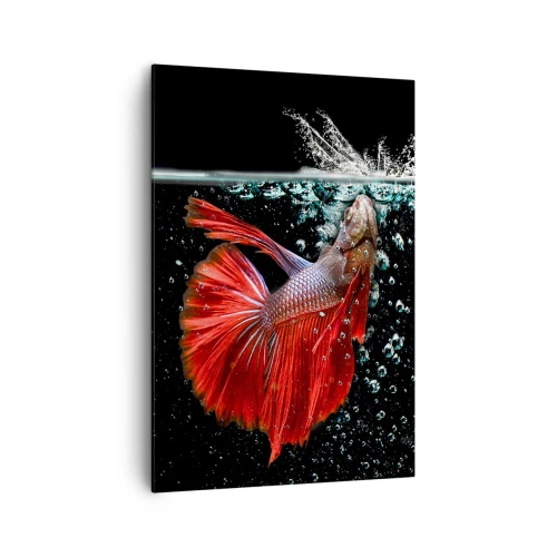 Vászonkép - Három kívánságod van - 70x100 cm