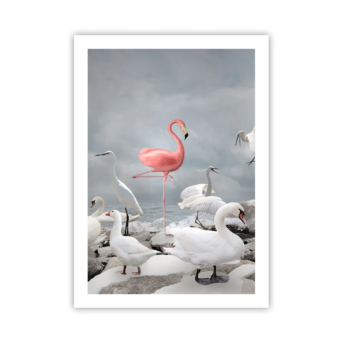 Poszter - Hogy kerültem ide? - 50x70 cm