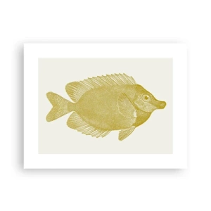 Poszter - Csak a hal - 40x30 cm