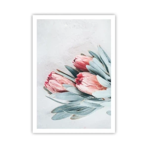 Poszter - Szégyellve saját szépségüket - 70x100 cm