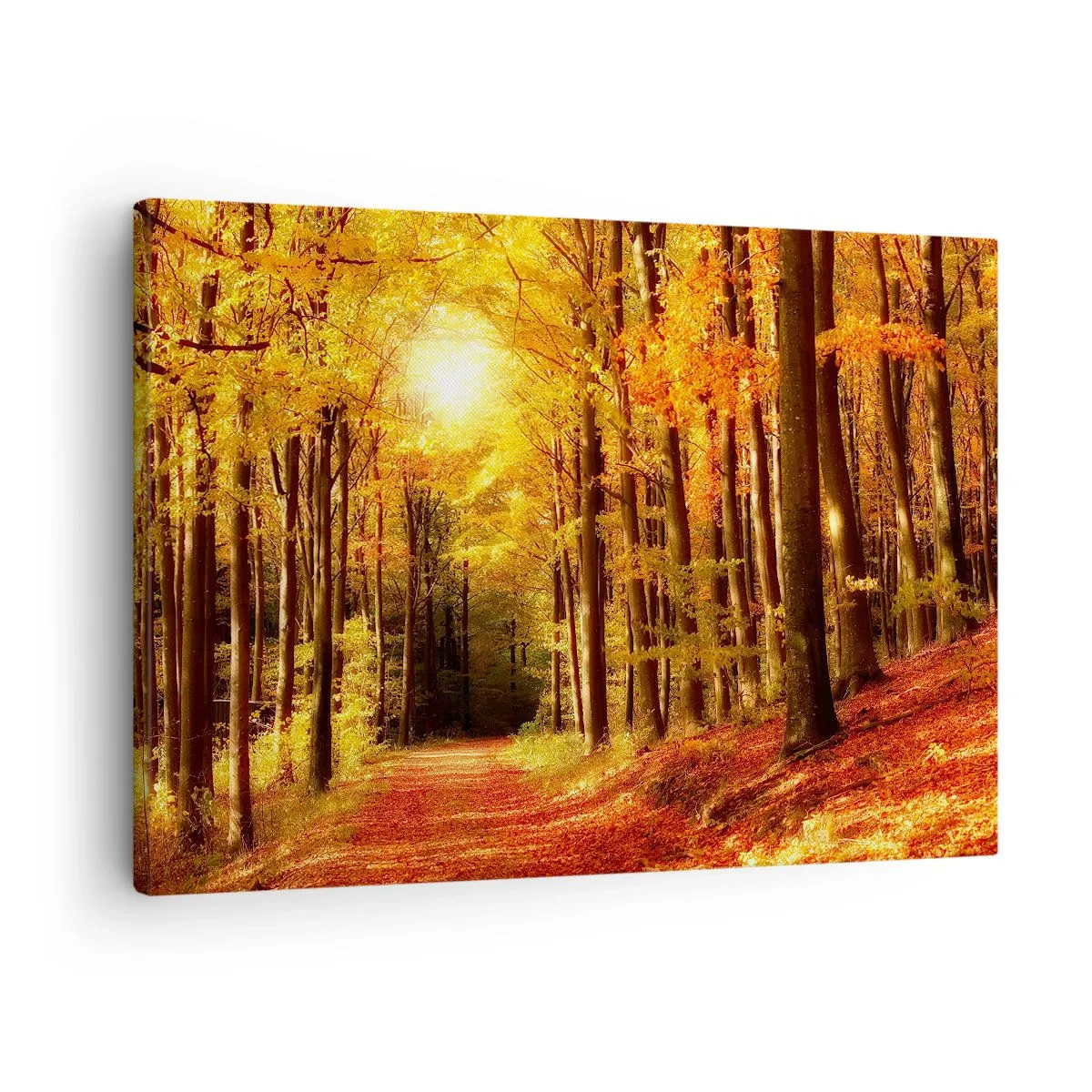 Vászonkép - Őszi erdő, a fák között átsütő napsugarakkal - 70x50cm - Arany ősz az erdei úton - Modern fali dekoráció nappalihoz és hálószobához ARTTOR