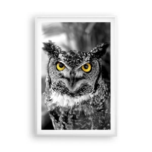 Poszter fekete keretben - Semmi sem fog elbújni - 61x91 cm