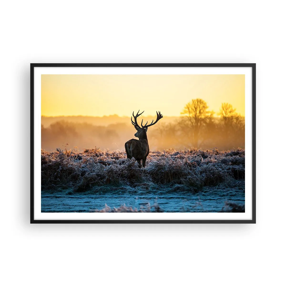 Poszter fehér keretben - Megkoronázott a birtokán - 100x70 cm