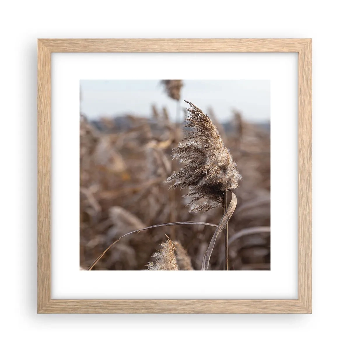 Poszter világos tölgy keretben - Ideje elrepülni a széllel - 30x30 cm