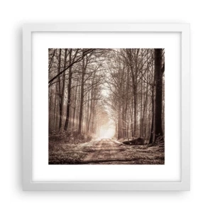 Poszter fekete keretben - Erdei katedrális - 30x30 cm