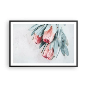 Poszter fehér keretben - Szégyellve saját szépségüket - 91x61 cm