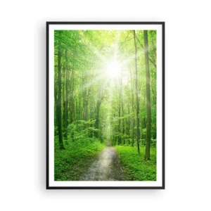 Poszter fehér keretben - A zöld katedrális - 70x100 cm