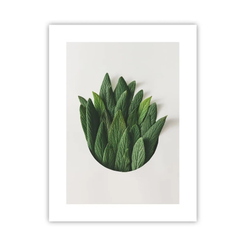 Poszter - Féktelen kíváncsiság - 30x40 cm