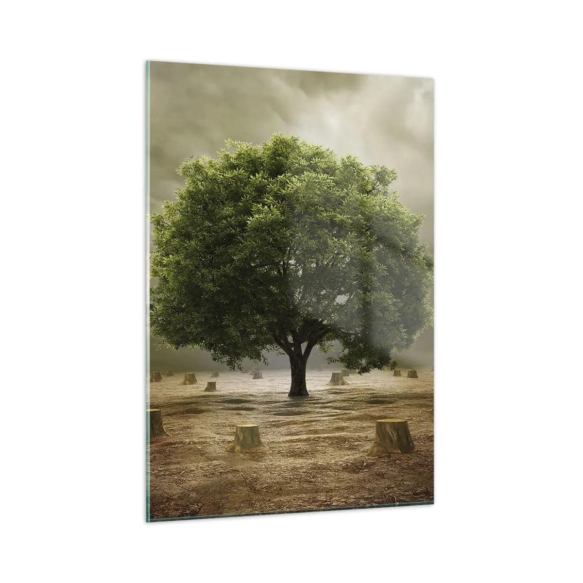 Üveg kép - Egész remény - 50x70 cm