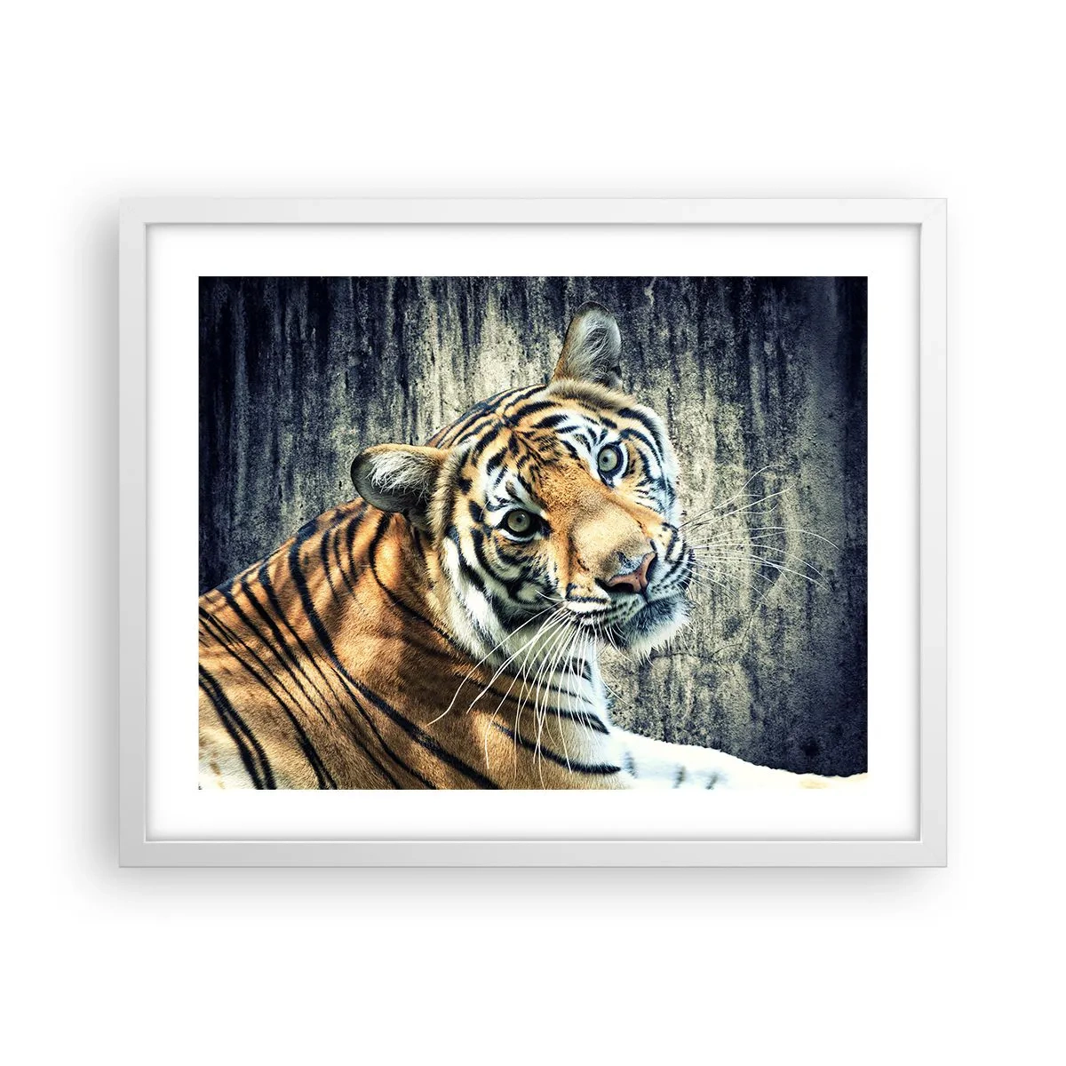 Poszter fekete keretben - Portré a fénysugárban - 50x40 cm