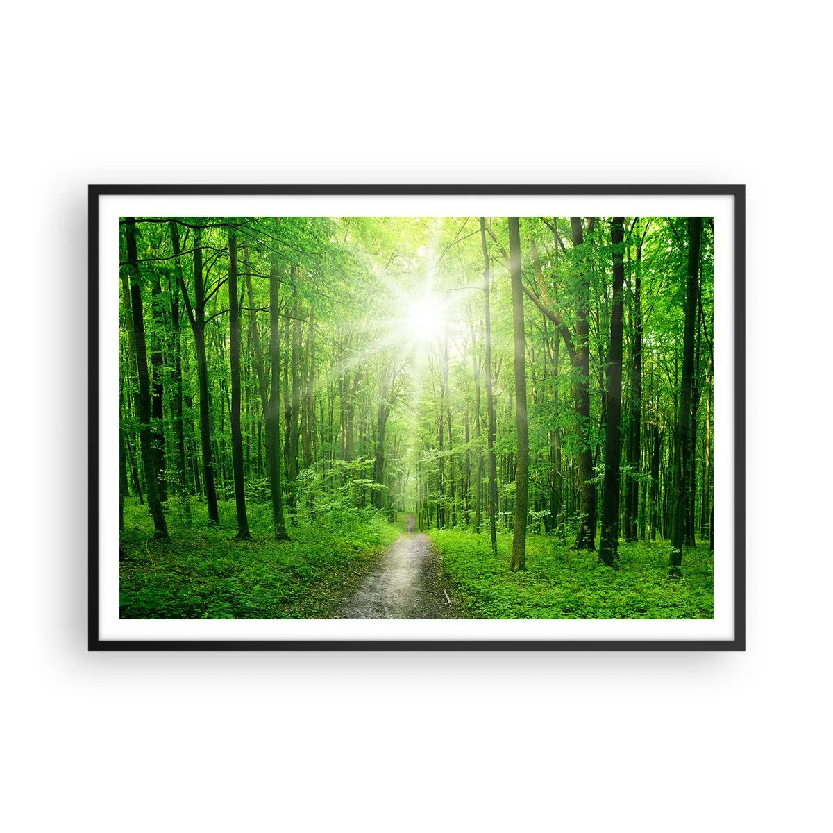 Poszter fehér keretben - A zöld katedrális - 100x70 cm