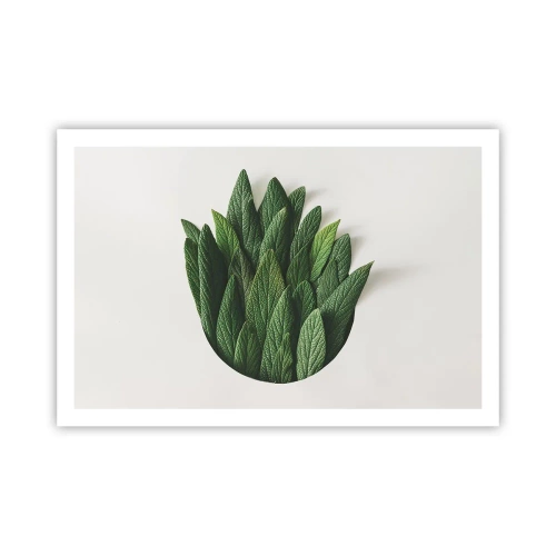 Poszter - Féktelen kíváncsiság - 91x61 cm