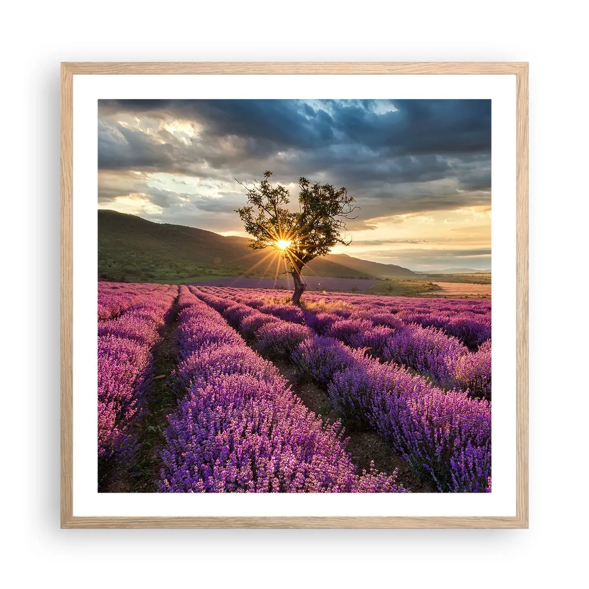 Poszter világos tölgy keretben - Lila színű illat - 60x60 cm