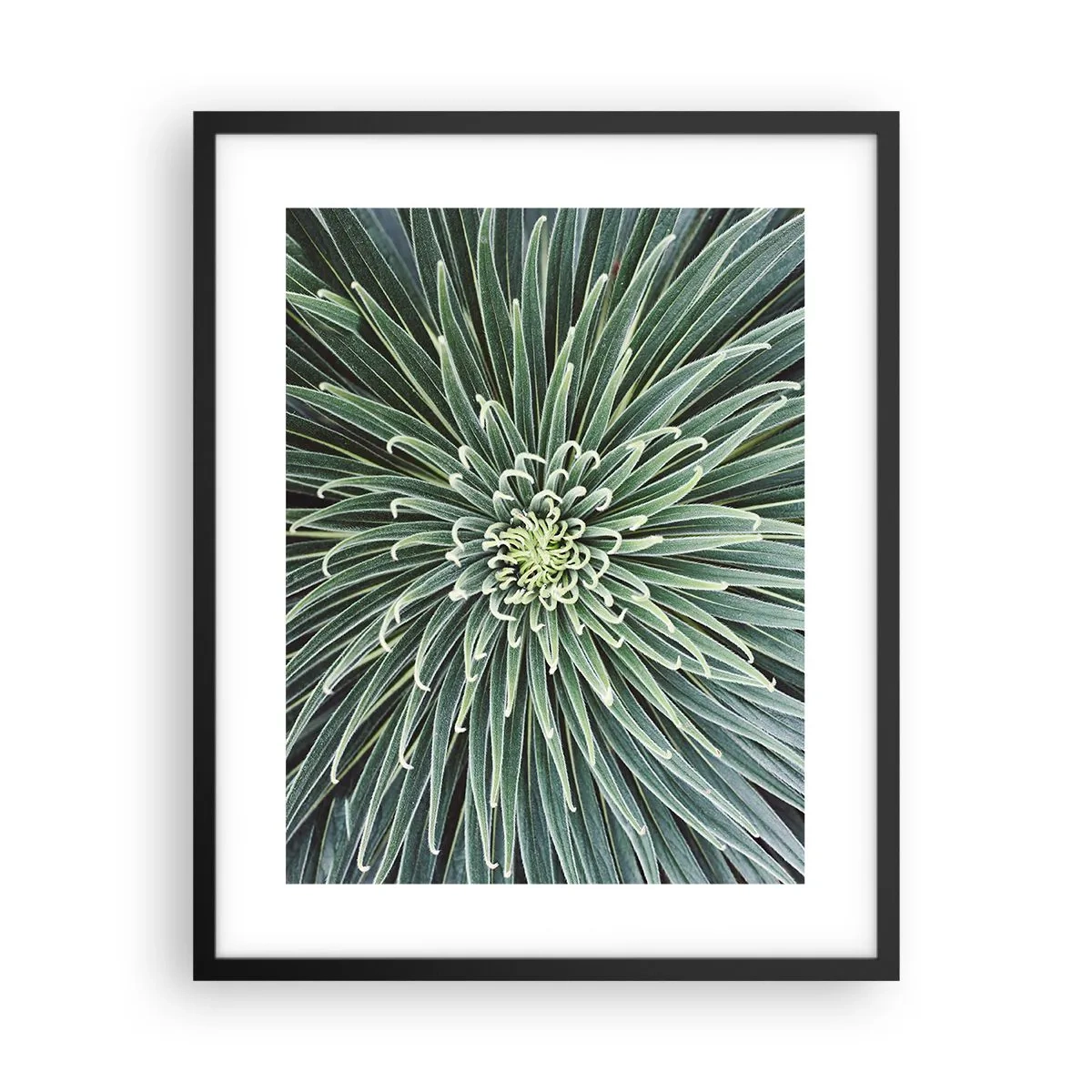 Poszter fehér keretben - Csillag születik - 40x50 cm