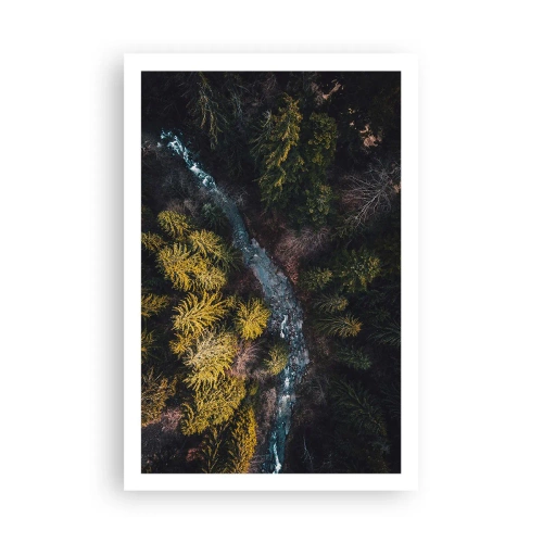 Poszter - Gyorsan, egyre gyorsabban - 61x91 cm