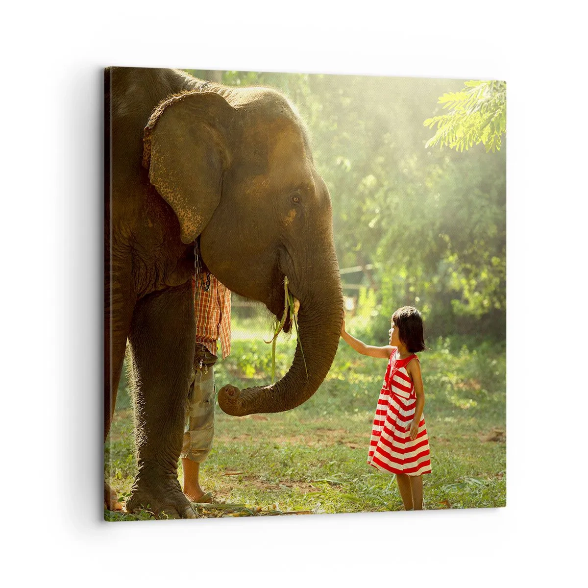 Vászonkép - A barátság ereje - 60x60 cm