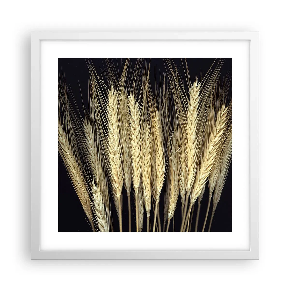 Poszter fekete keretben - Rusztikus varázslat - 40x40 cm