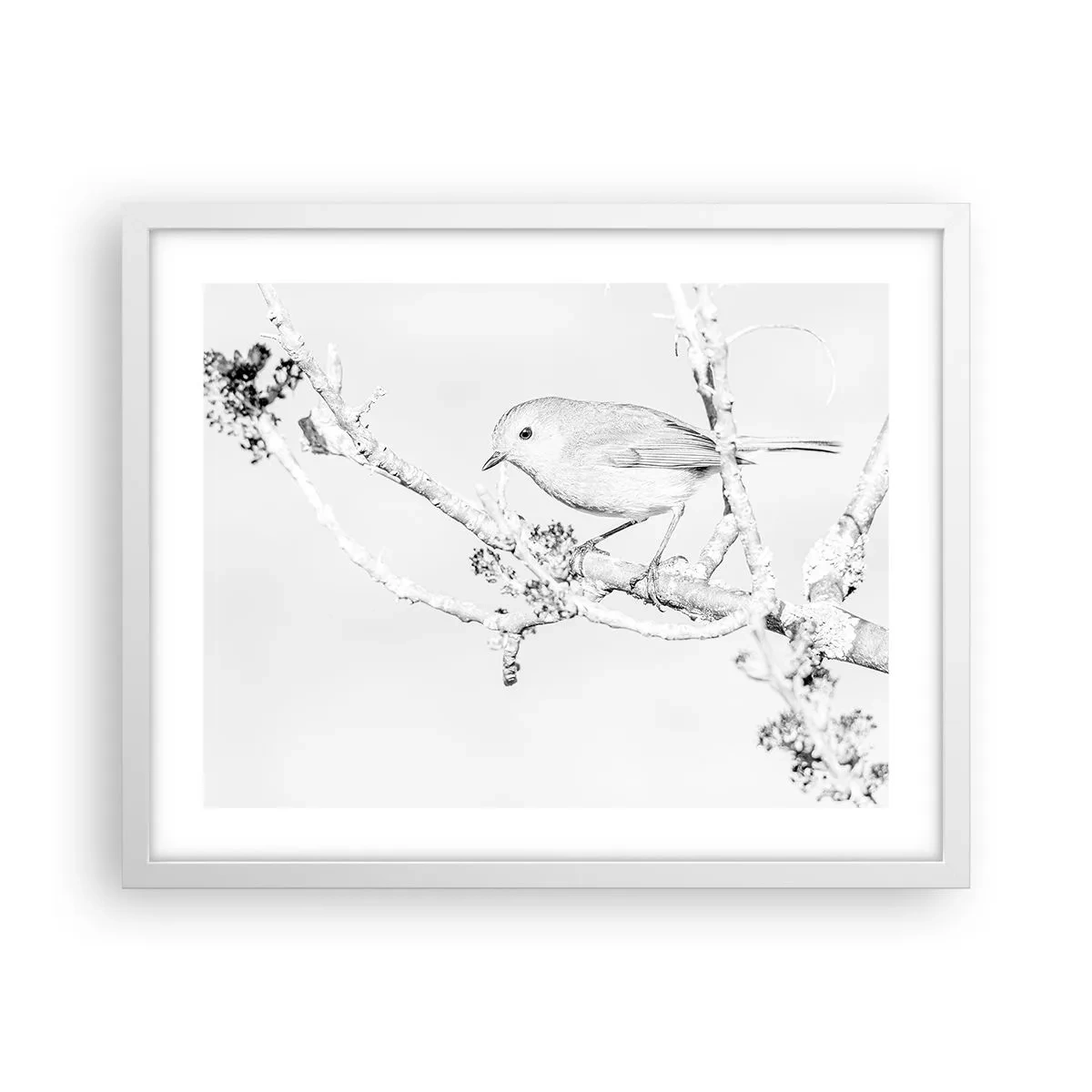 Poszter fekete keretben - Téli reggel - 50x40 cm