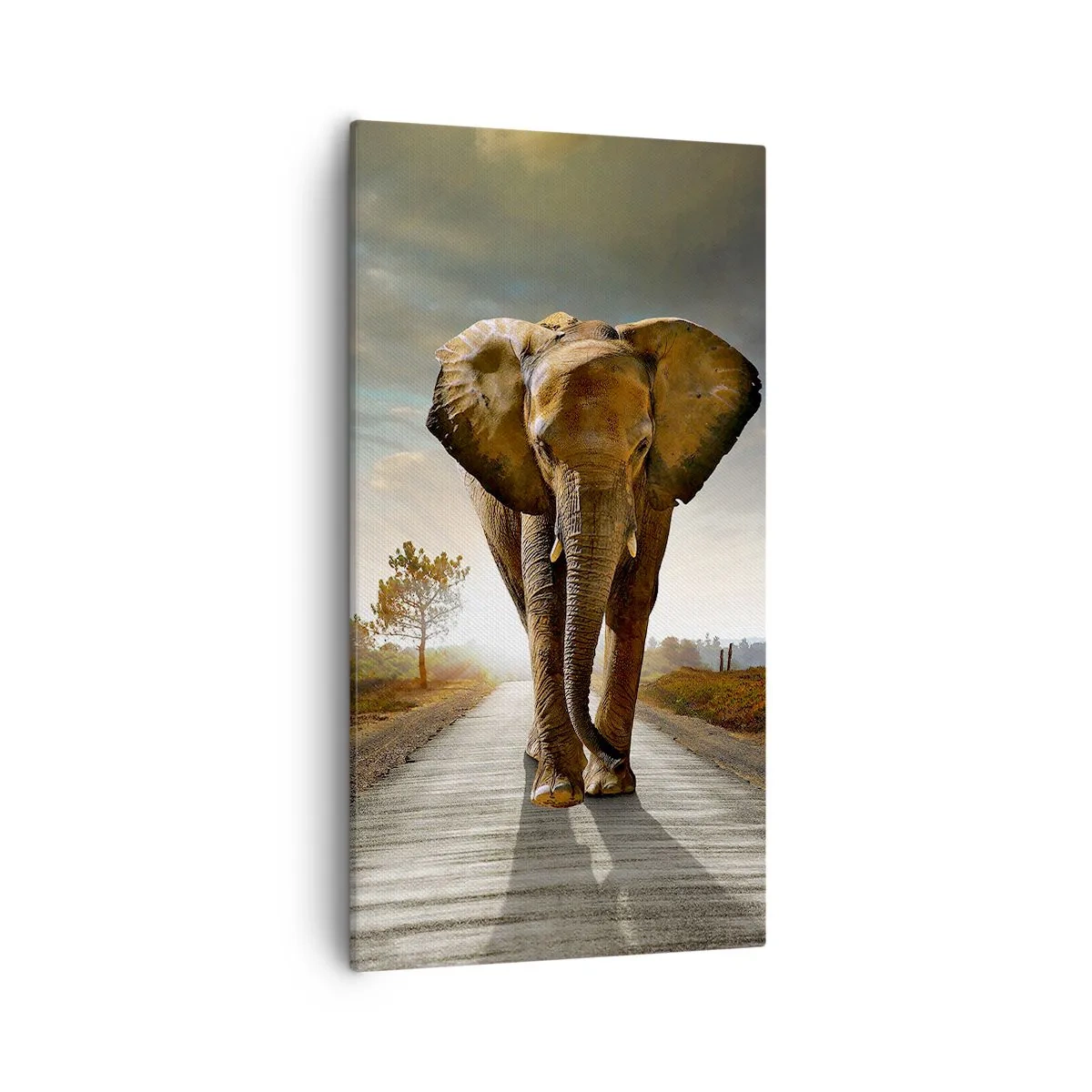 Vászonkép - És egyáltalán nem porcelánraktárban - 55x100 cm