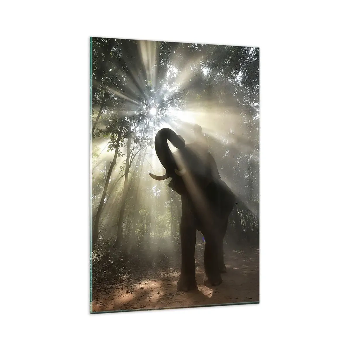 Üveg kép - A szerencsecsillag alatt - 80x120 cm